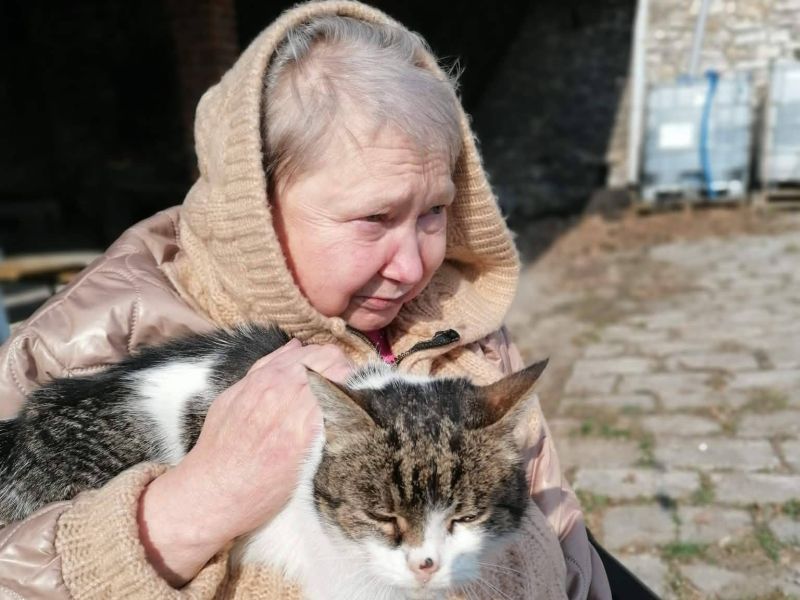 mieszkanka domu z kotkiem